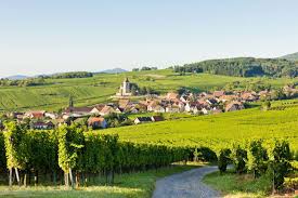 Route des Vins d'Alsace